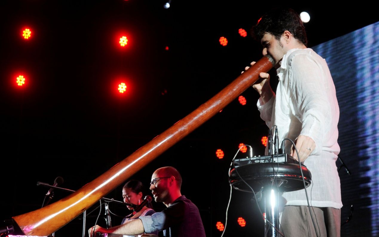 世界音乐荟:融合世界各民族精髓的音乐文化之