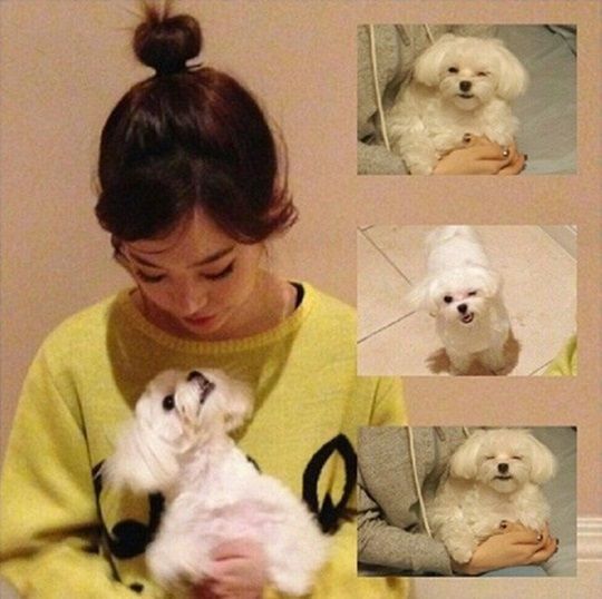 少女时代成员Sunny与爱犬