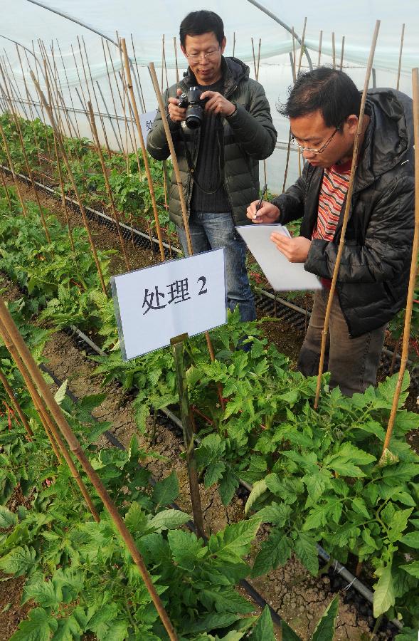 浙江农民人均纯收入连续28年稳居全国各省区