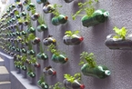 塑料瓶垂直花园 妙不可言的创意