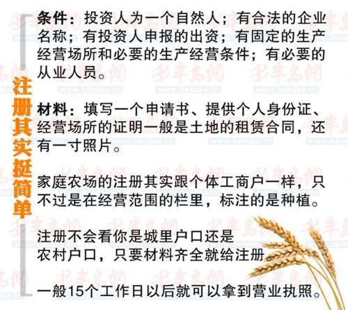 农场主的女儿们_农场主收入(3)