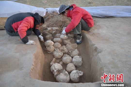 中国史前最大石城遗址首现年轻女性头骨祭祀遗迹