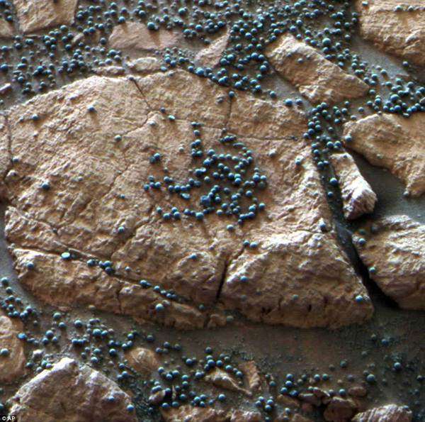 美国展出火星表面特写照:蓝莓状颗粒物清晰可