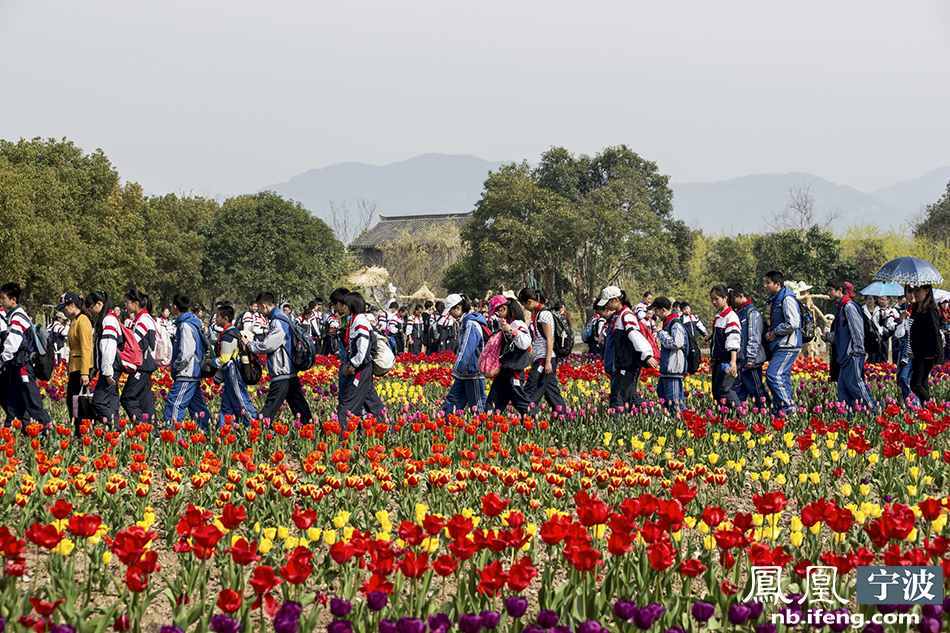 象山影视城成为宁波市中小学校春游踏青首选地