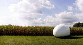 20平米蛋形小屋