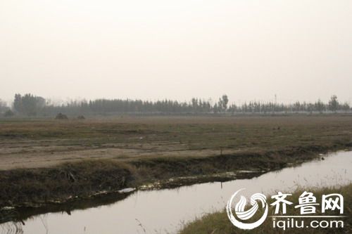 济南新阳煤矿回应80%村民住危房:已赔偿千万
