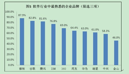 收入证明_软件开发收入(2)