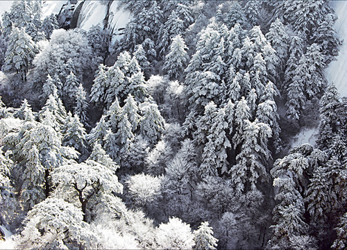 华山高度