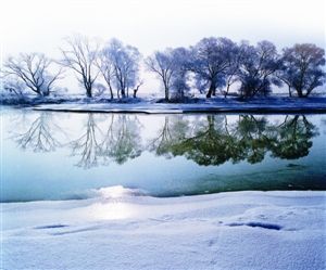 冬日雪景