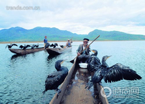 与候鸟约会的故事_旅游频道_凤凰网
