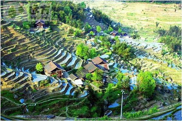 湖南娄底紫鹊界梯田+自助游畅玩攻略