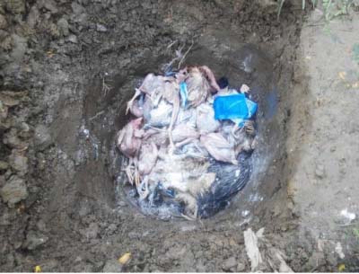 扬州 | 农贸市场出现50多只死鸡 现场解剖排除