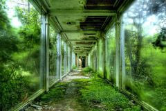 摄影师拍美国废墟