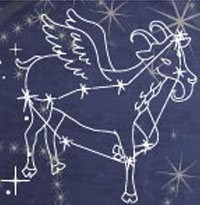星座模型之摩羯座现象