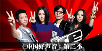 2013中国好声音