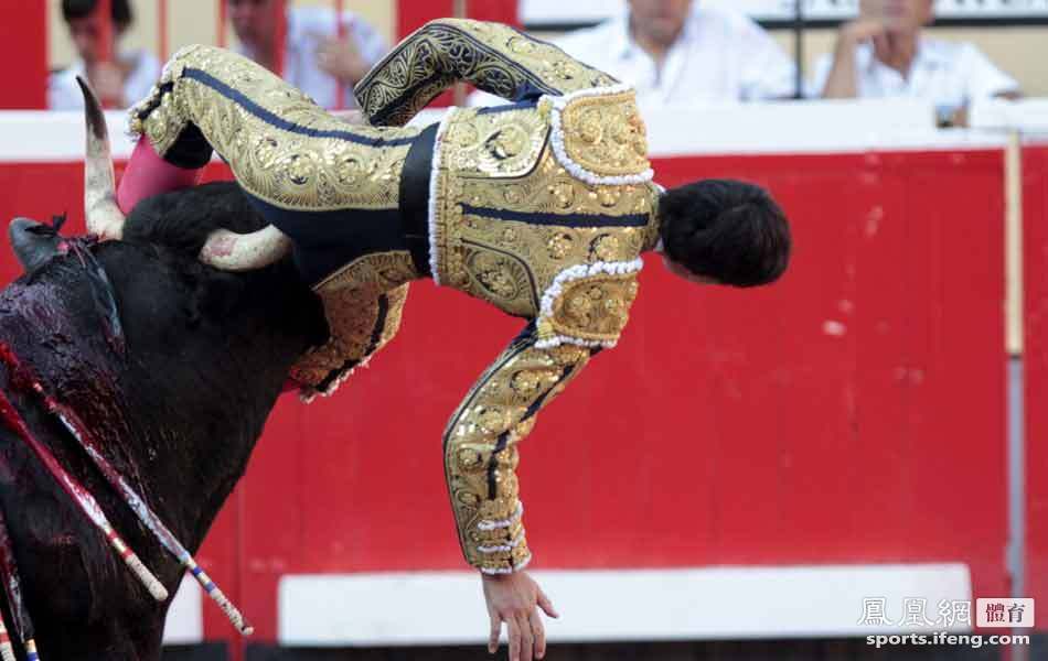 西班牙斗牛士被公牛顶下体