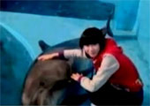 长沙美女主持人逗海豚时被卷入水池溺亡