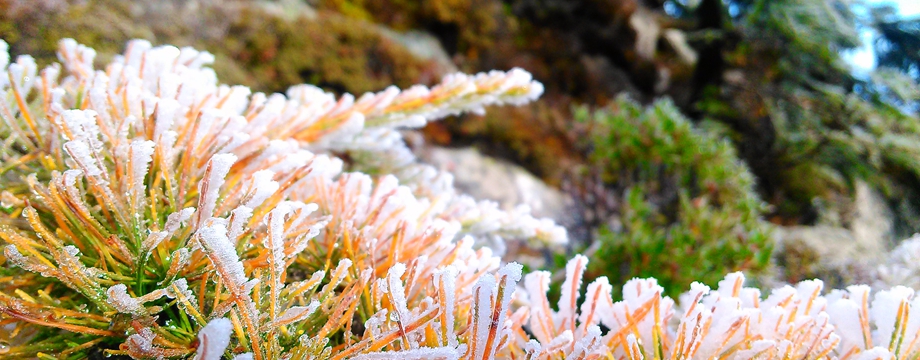 一个小时到宝鸡:感受冰火季 探寻古文化