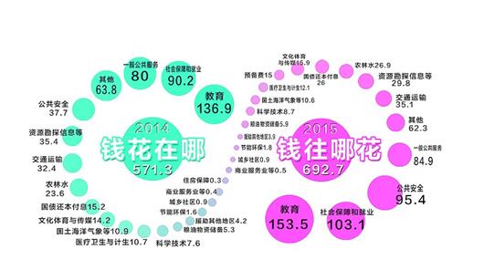 点击图片查看详情 财务预算_一般预算转移性收入(2)