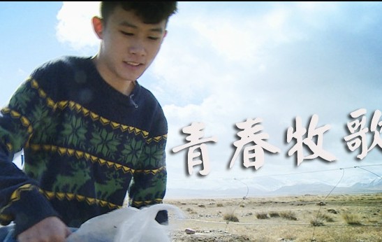 牛粪小王子变形计赵力爱好家庭背景微博打架原