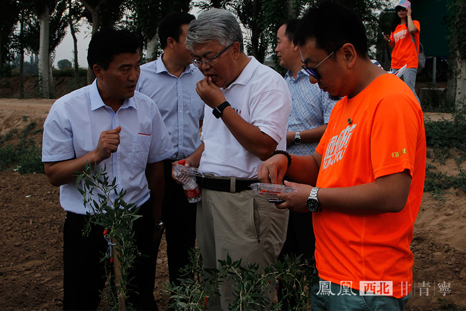 宁夏农业人口_发展观光农业 石嘴山市人民政府