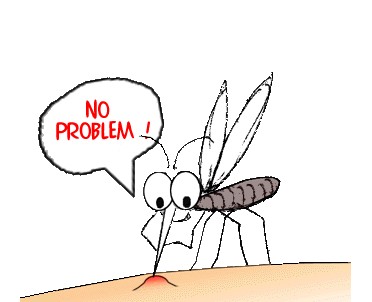 夏天蚊子叮咬皮肤痒怎么办 民间十种有效的止