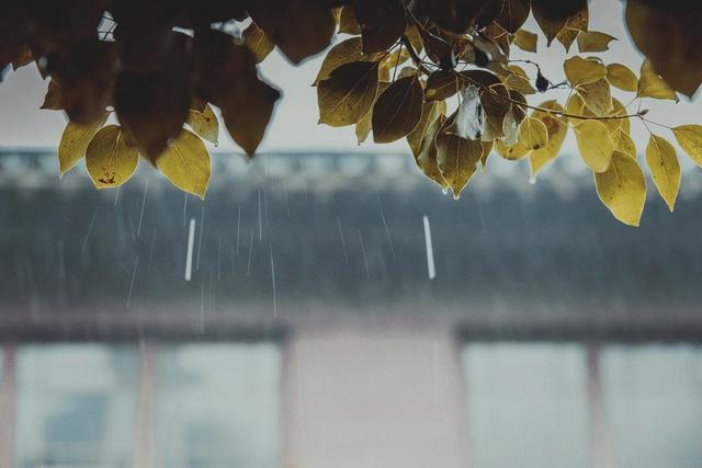 【金陵】听说下雨天和南京的美景更配哦