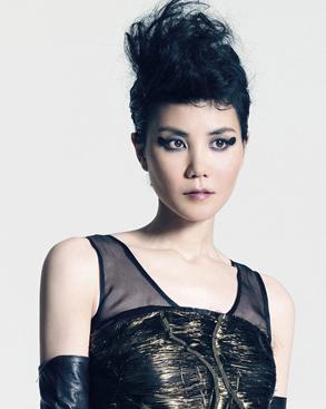 王菲个唱观众席坍塌 42岁天后流年蒙尘