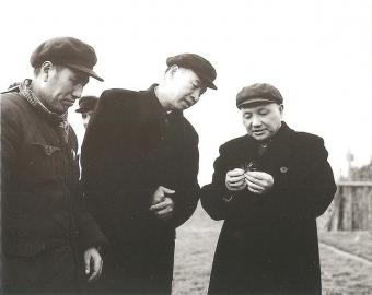 1959年3月邓小平与彭真视察山东省农科所。
