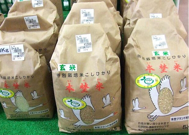 日本大米为什么成奢侈品?日本大米真实报价