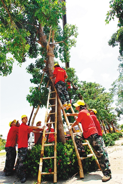 海口扎实推进志愿服务 登记注册志愿者达8766