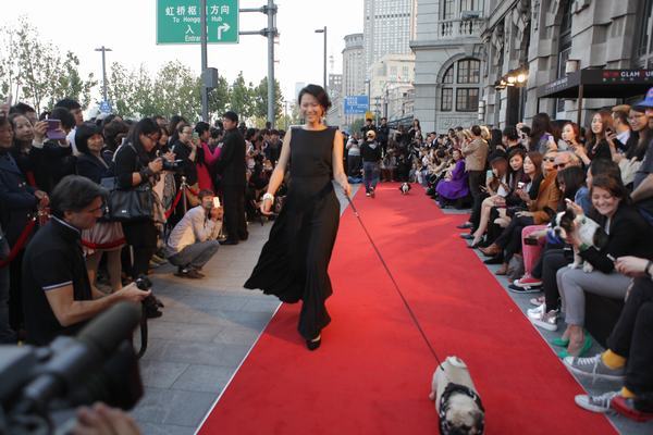 魅力惠魅力变身行动之无可匹敌魅力狗时尚秀