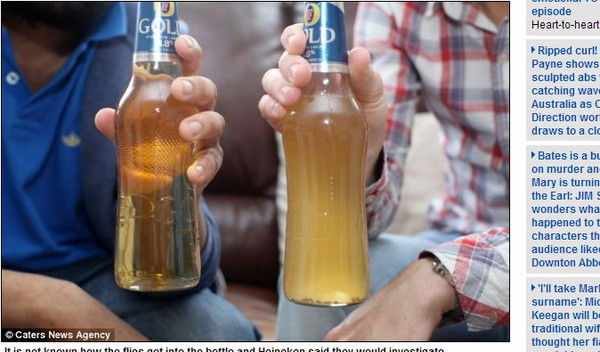 “苍蝇啤酒”（右）颜色明显较混浊。（英国《每日邮报》网站截图）
