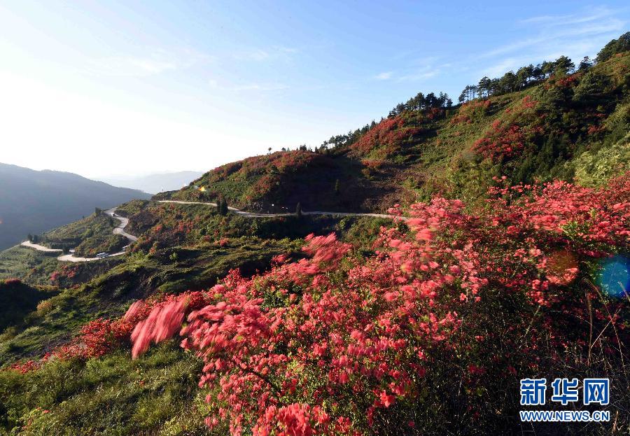 滇南胜境山色秀美
