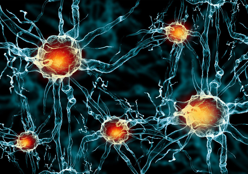 日本研究发现:神经干细胞复制分化可被光"控制"