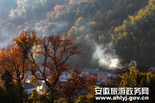 140名摄影家走进池州青阳县陵阳镇 寻访古朴乡村魅力