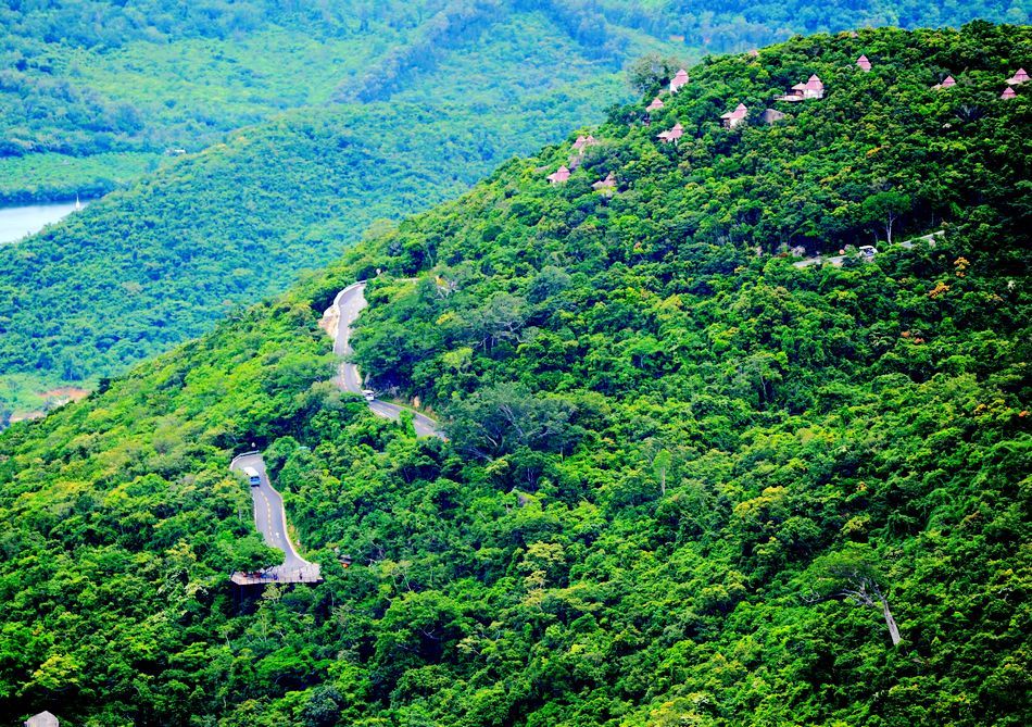 三亚的热带天堂森林公园游记