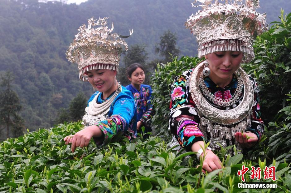 高清:探稻城亚丁 蓝色星球最后一片净土