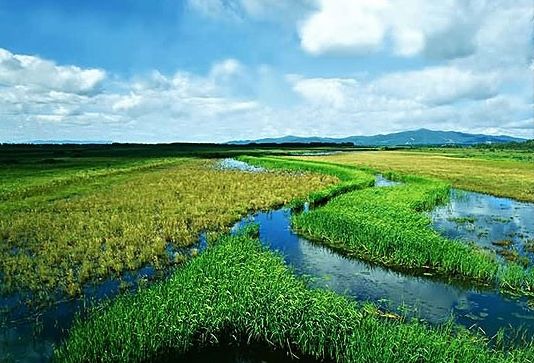 湿地大省生态旅游亮点纷呈 八大国际重要湿地