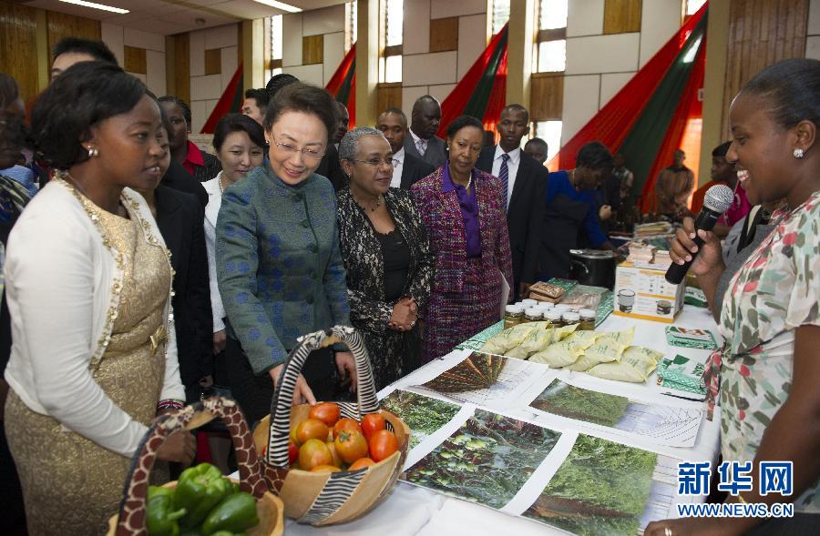 肯尼亚旅游_肯尼亚总统收入