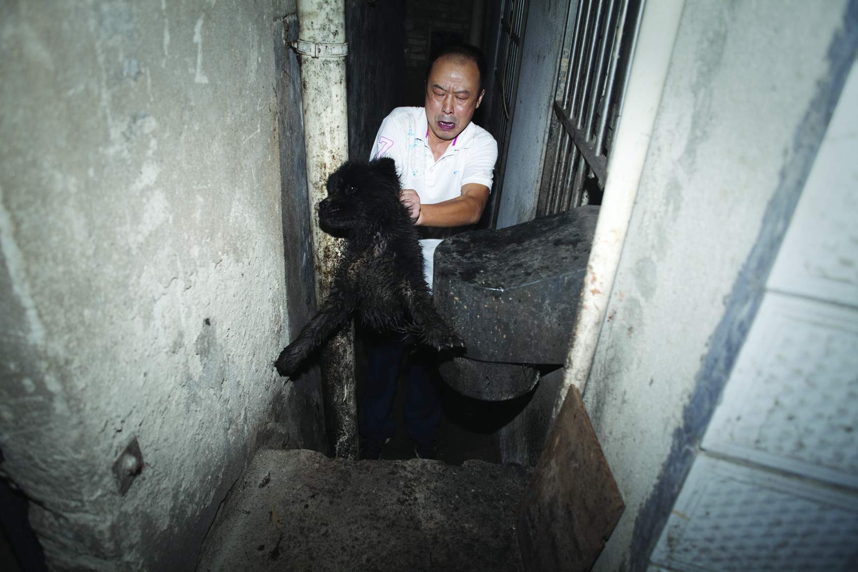 母狗跌入沟里公狗守10小时不让人靠近(组图)