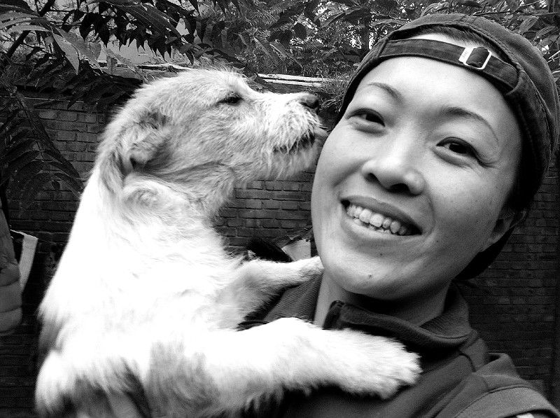 河北女摄影师13年收养上百只流浪狗 住所不定