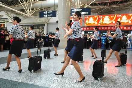 南京:空姐手牵拉杆箱在机场玩快闪 随音乐跳舞(图)|拉杆_凤凰资讯