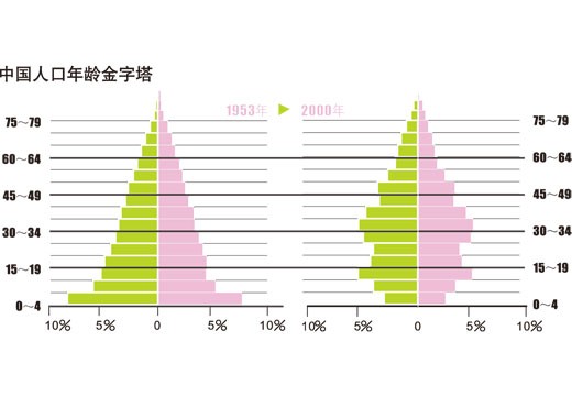 人口年龄金字塔_中国人口年龄金字塔历年变化(2)