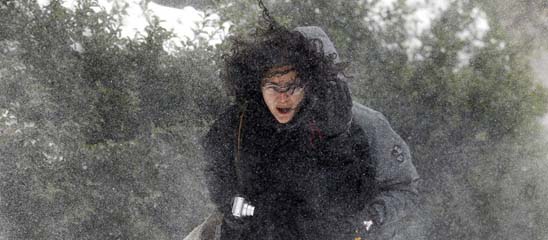 图片名称 图片名称