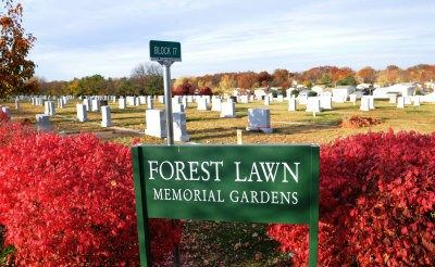  "Southlawn Cemetery Pet Services: A Compassionate Approach to Final Farewells"