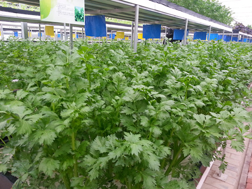 境外媒体齐聚陕西 用镜头证明大发展