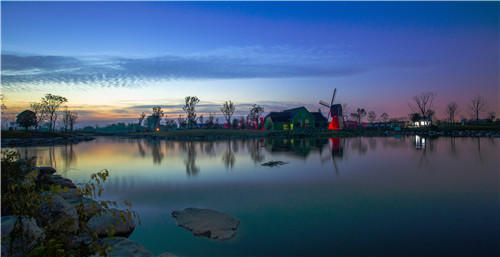 麋鹿之乡|神秘大丰 观荷兰花海 赏仙鹤放飞