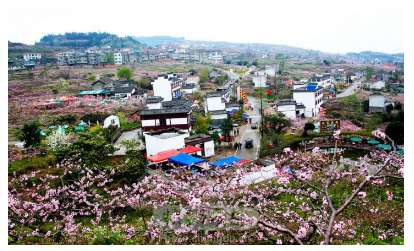 莫斯科人均绿地面积_区域人均商业面积(3)