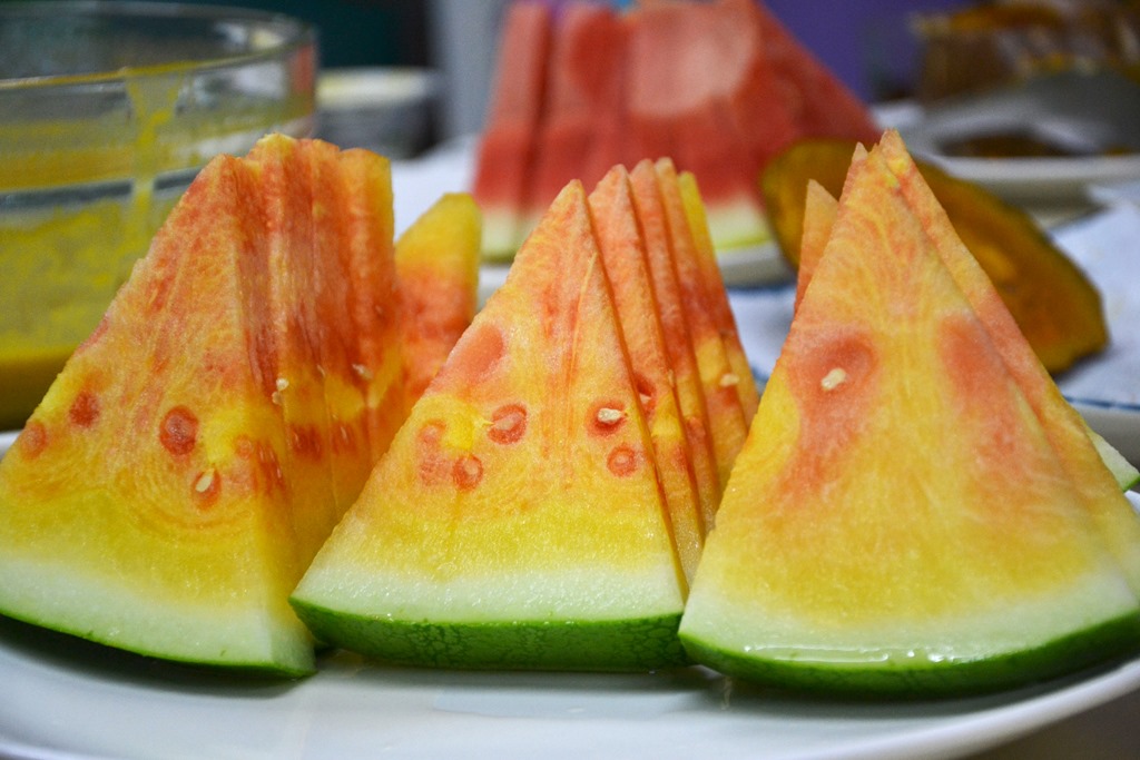 河南襄城县张庄移民村:彩虹西瓜富移民